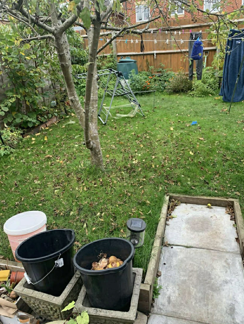 Outdoor area after hedge and pruning work